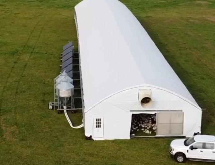 Kandang Ayam Berpindah: Inovasi Peternakan Ramah Lingkungan dari Amerika Utara