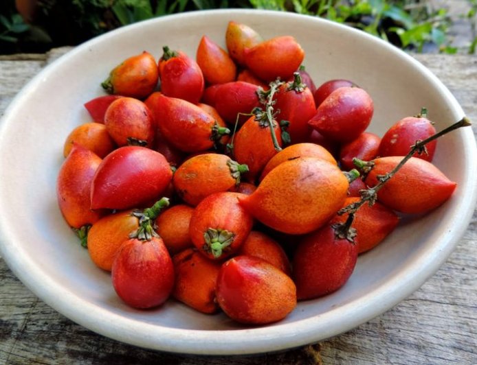 Peanut Butter Fruit, Buah Cantik dengan Kejutan Rasa