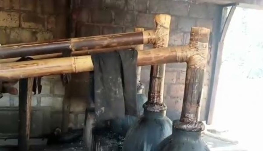 Sopi: Minuman yang Menyatukan Orang-Orang di Flores