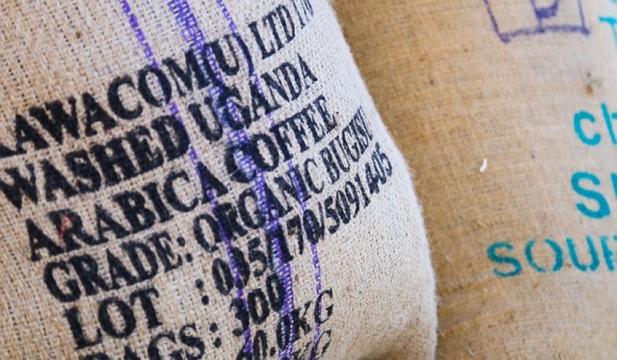 Bebas Deforestasi Jadi Syarat Baru Ekspor