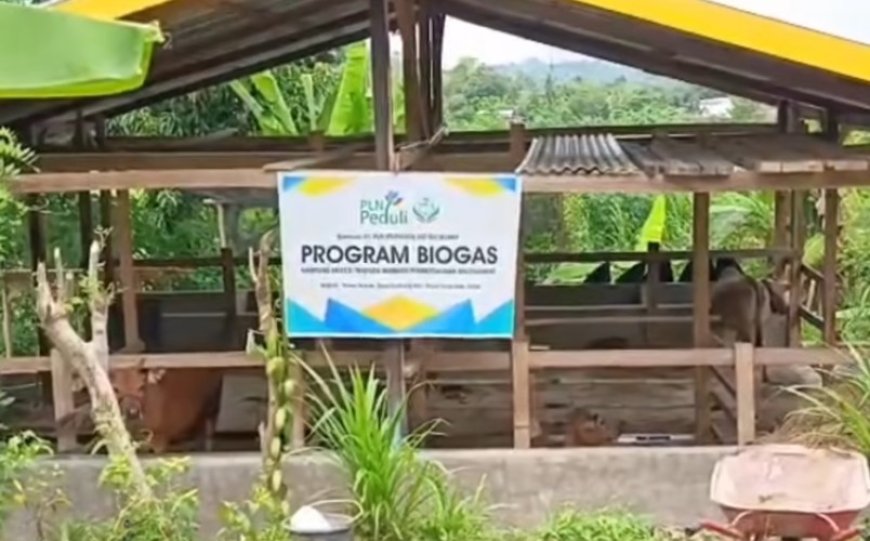 Belajar dari YouTube, Pemuda Sinjai Sulap Kotoran Sapi Jadi Biogas Gratis untuk Warga