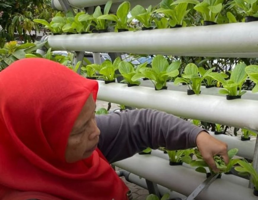 Urban Farming Buruan SAE Bandung Jadi Benteng Warga Hadapi Lonjakan Harga Pangan