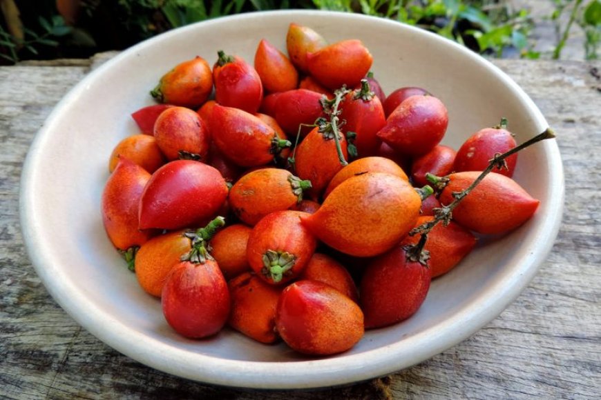 Peanut Butter Fruit, Buah Cantik dengan Kejutan Rasa