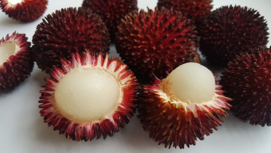 Buah Pulasan, Si “Saudara Dekat” Rambutan yang Mulai Terlupakan