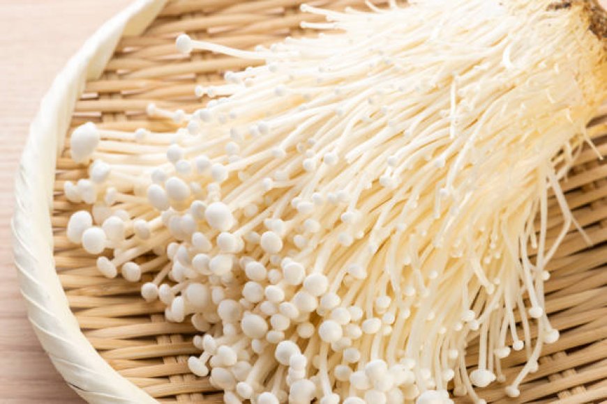 Mengapa Tubuh Sulit Mencerna Jamur Enoki?