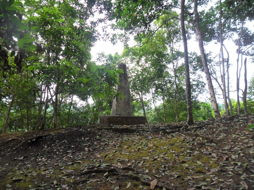 Dulu Tambang Batu Bara, Sekarang Sawah Hijau: Asal Usul Kecamatan Loa Kulu