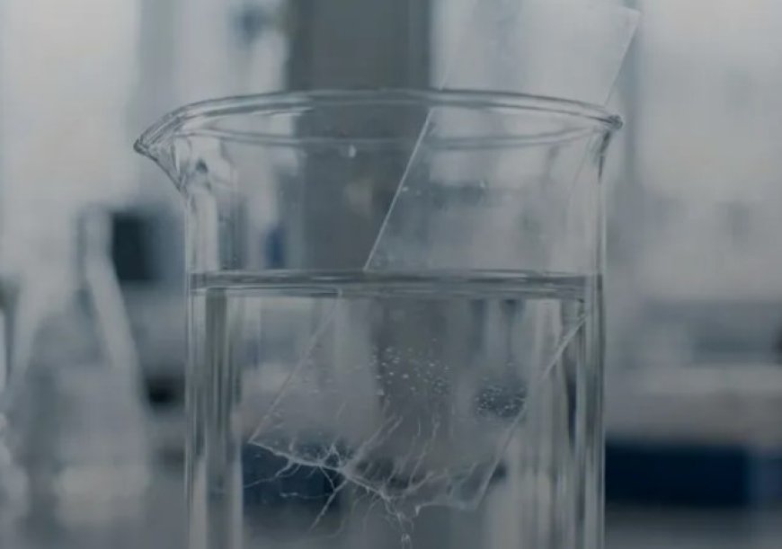 Ilmuwan Jepang Ciptakan Plastik yang Melebur Sendiri Saat Terkena Air Garam