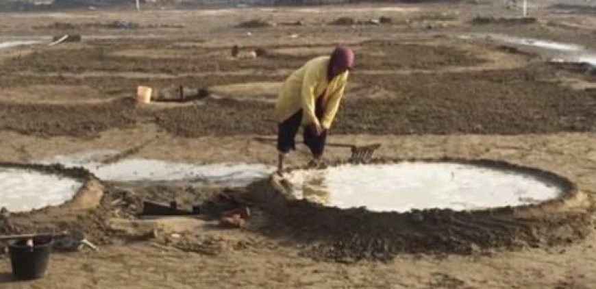 Garam Rebus Aceh, Warisan “Emas Putih” Sejak Zaman Kesultanan Samudra Pasai