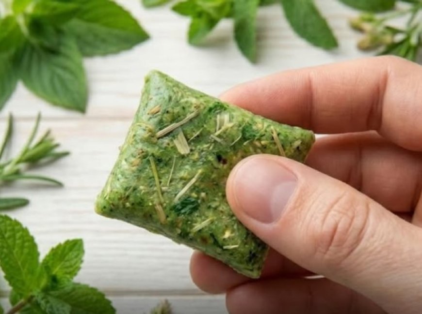 Ilmuwan Kembangkan Permen Karet Nabati yang Mampu Menangkap Virus di Mulut