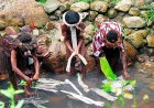 Rahasia Kolam Garam Sakral di Kurulu, Papua Pegunungan