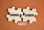 Memahami Ambivert, Karakter di Antara Introvert dan Ekstrovert