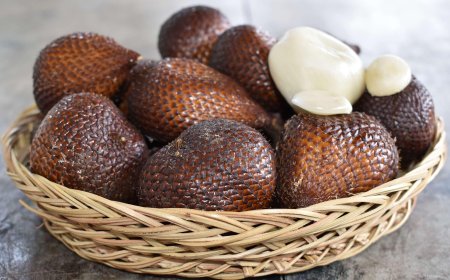 Indonesia Raih Sertifikat GIAHS FAO Lewat Sistem Agroforestri Salak di Bali