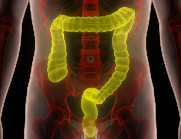Hydrocolon: Manfaat, Risiko, dan Fakta Medis Terapi Pembersihan Usus