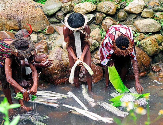 Rahasia Kolam Garam Sakral di Kurulu, Papua Pegunungan