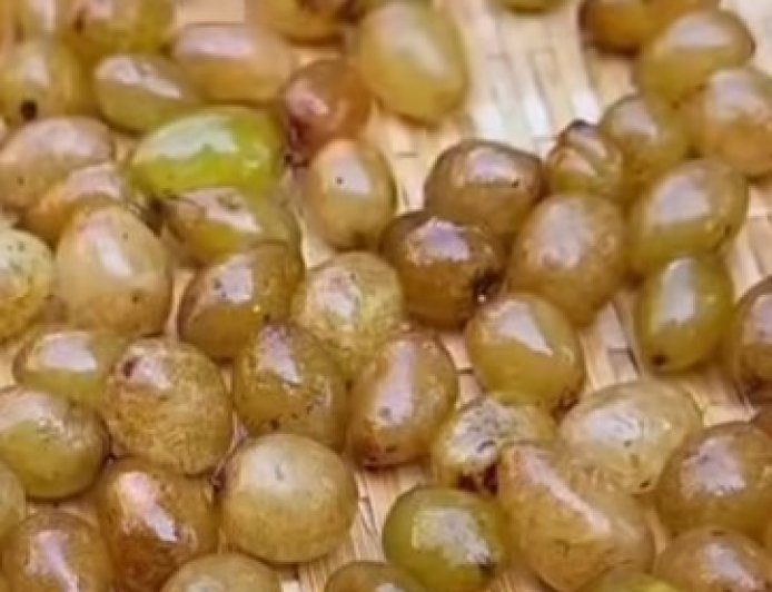 Bukan Anggur! Umbi Pakis Kelabang Ini Ternyata Bisa Dimakan dan Rasanya Segar