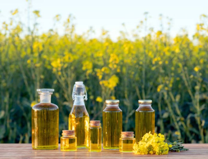Benarkah Minyak Canola Lebih Sehat? Antara Label “Heart Healthy” dan Fakta di Balik Prosesnya