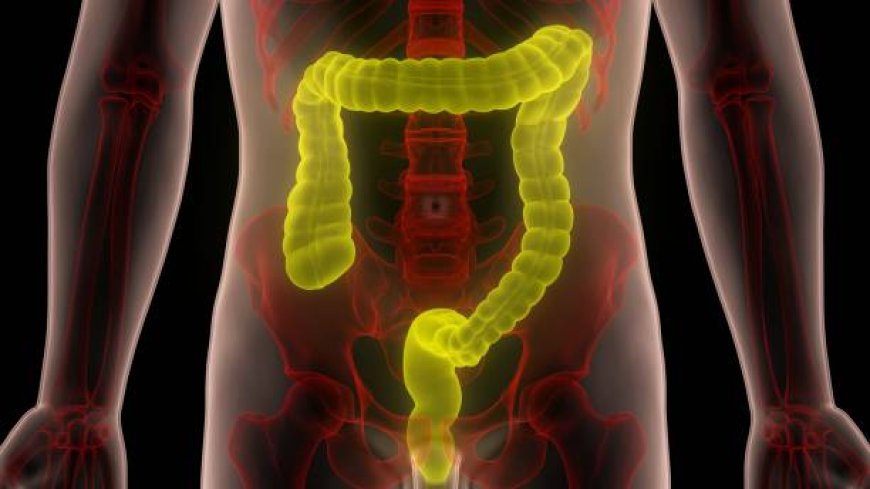 Hydrocolon: Manfaat, Risiko, dan Fakta Medis Terapi Pembersihan Usus