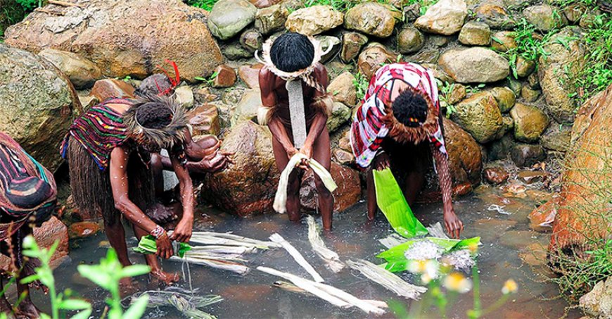 Rahasia Kolam Garam Sakral di Kurulu, Papua Pegunungan