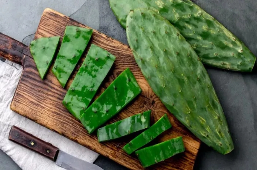 Kaktus Nopal, Makanan Tradisional Meksiko yang Kaya Nutrisi dan Sudah Dikonsumsi Sejak Zaman Aztec