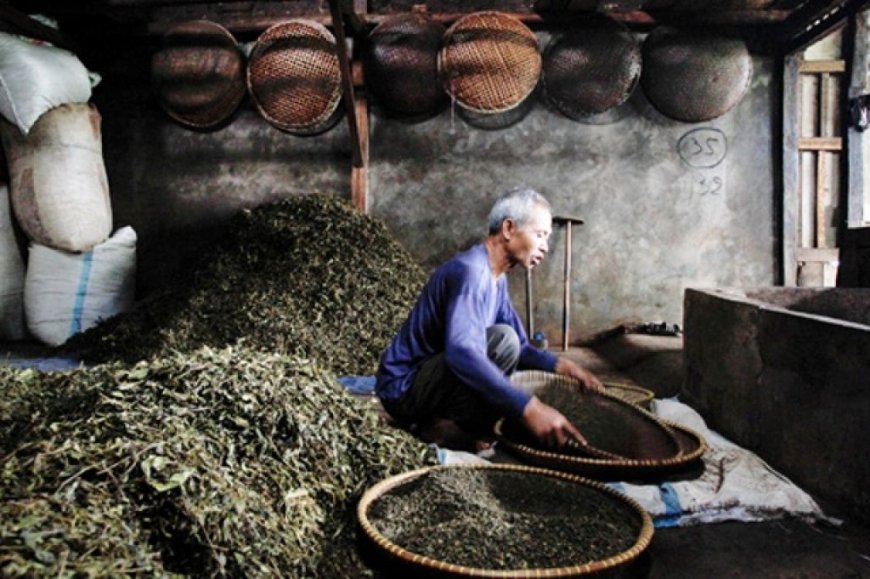 Teh Kejek dan Tradisi Nyaneut: Warisan Rasa dan Kebersamaan dari Garut
