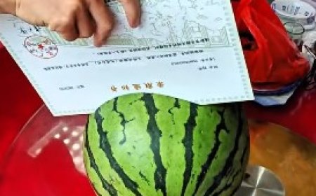 China Gunakan Ijazah Berbahan Polimer, Tahan Air hingga Sulit Dipalsukan