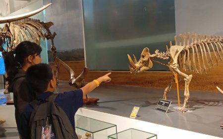 Wisata Sambil Belajar di Museum Geologi Bandung