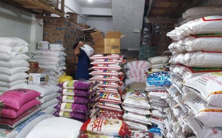 Indonesia Buka Peluang Impor Beras dari AS, Strategi Dagang di Tengah Dinamika Geopolitik?