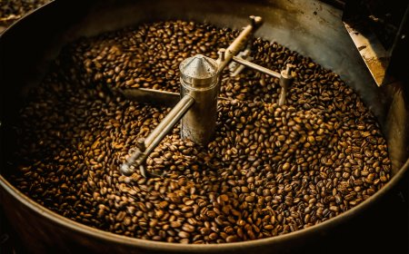 Mau Buka Bisnis Kopi Tapi Takut Modal? Mungkin Kamu Salah Mulai