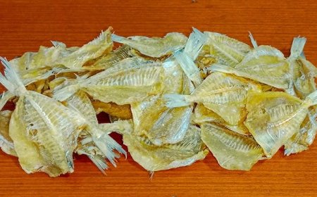 Ikan Asin Bisa Picu Kanker? Ini Penjelasan Ilmiah yang Sering Disalahpahami