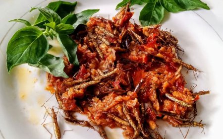 Sambal Walang Sangit: Kuliner Ekstrem Khas Gunung Kidul yang Bikin Penasaran