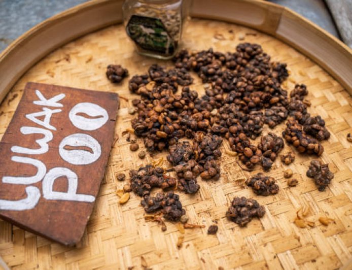 Dari “Buangan” Jadi Primadona: Rahasia Kopi Luwak yang Mendunia