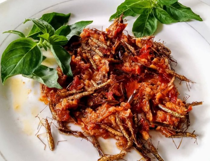 Sambal Walang Sangit: Kuliner Ekstrem Khas Gunung Kidul yang Bikin Penasaran