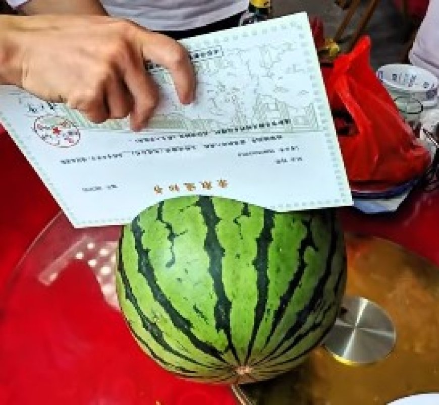 China Gunakan Ijazah Berbahan Polimer, Tahan Air hingga Sulit Dipalsukan