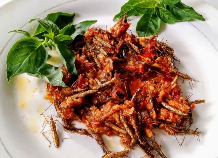 Sambal Walang Sangit: Kuliner Ekstrem Khas Gunung Kidul yang Bikin Penasaran