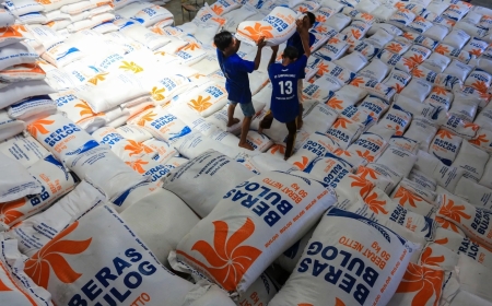 Harga Beras Dunia Anjlok 44%, Indonesia Disebut Jadi Faktor Kunci Perubahan Pasar Global