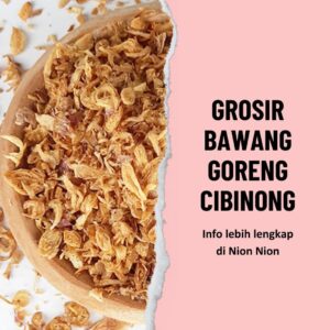 Grosir Bawang Goreng Cibinong Nion Nion (2)