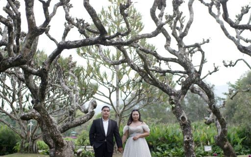 Joshua & Windy Wedding Reception