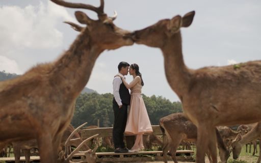 Leo & Kristin Wedding