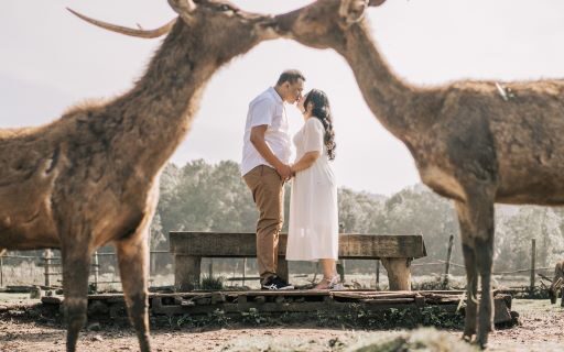 Jauhari & Vero Wedding