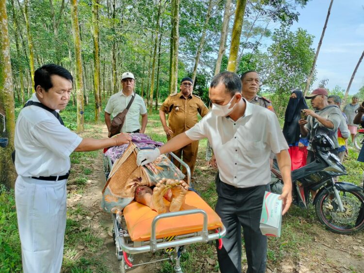 Hendak ke Ladang, Kevin Pakpahan Asal Sinaksak Simalungun Tewas Disambar Ular Besi