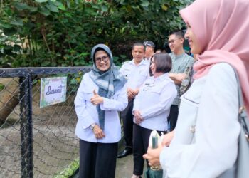 Wali Kota dr Susanti Diberi Kehormatan Memberi Nama Seekor Tapir Asia oleh Taman Hewan Pematang Siantar
