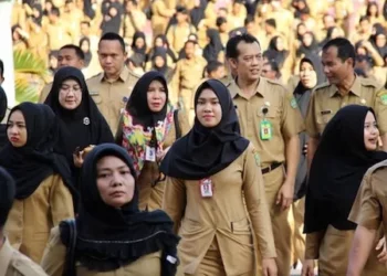 Aparatur Sipil Negara (ASN)