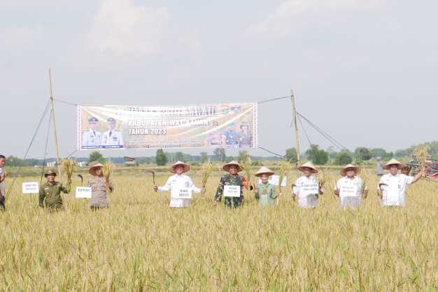 Wakil Bupati Drs H Ali Rahman ST MT menghadiri Panen Padi Sawah Program Benih Padi Inbrida Kampung Bumi Agung