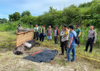 Becak Barang Terbalik, Juara Parulian Gultom Asal DI Panjaitan Siantar Tewas Tertimpa