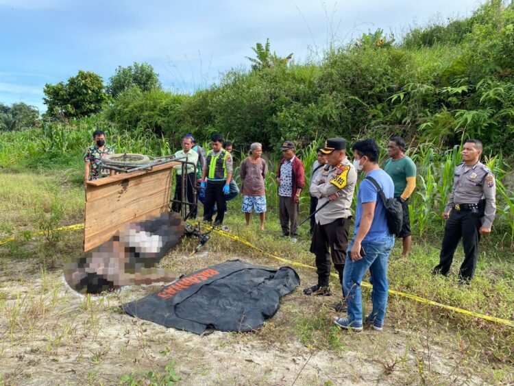 Becak Barang Terbalik, Juara Parulian Gultom Asal DI Panjaitan Siantar Tewas Tertimpa