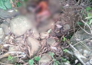 Pekon Negeri Ratu Geger, Mayat Wanita Tanpa Busana Ditemukan Membusuk di Pinggiran Sungai