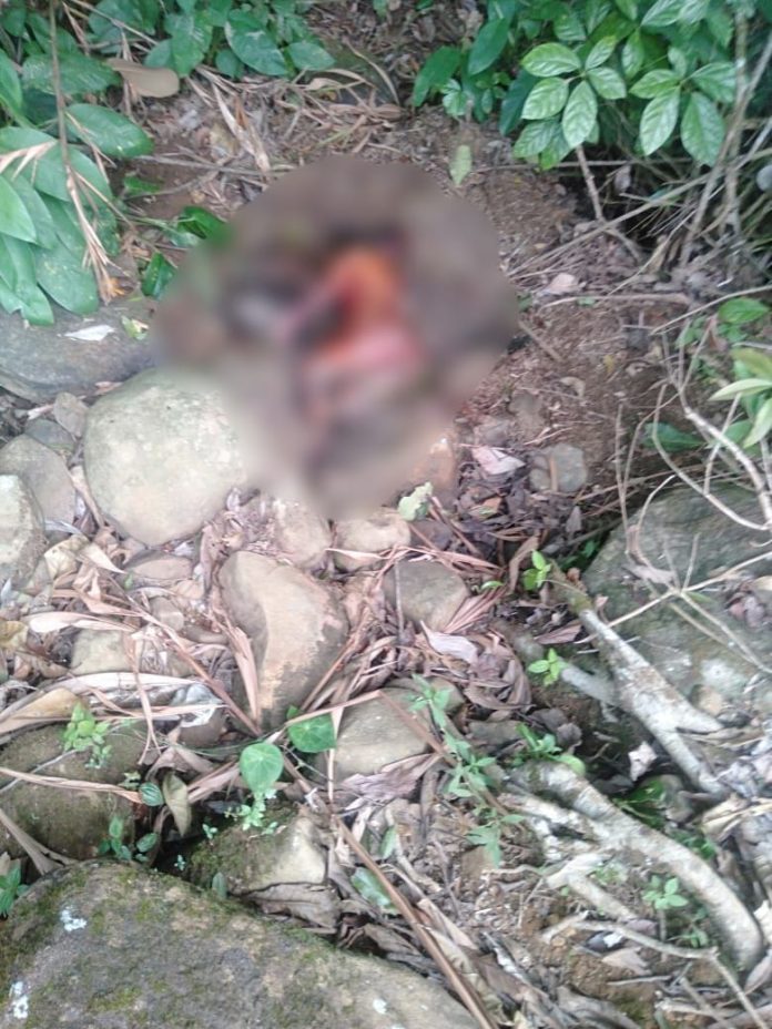 Pekon Negeri Ratu Geger, Mayat Wanita Tanpa Busana Ditemukan Membusuk di Pinggiran Sungai
