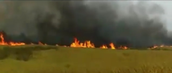 Petugas Balai Besar TNBBS Bidang Wilayah 2 Liwa Resor Suah Cek Lokasi Padang Savana