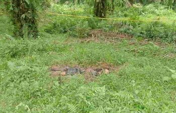 Lokasi Penemuan Mayat Mr-X yang Membusuk. (int)