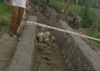 Pembangunan Paret Pasangan